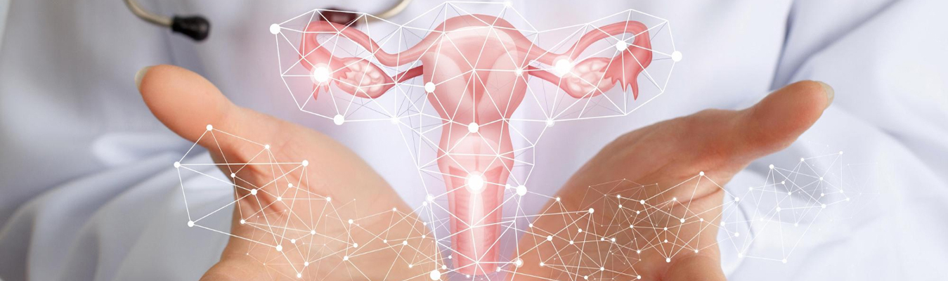 Gynecology Banner